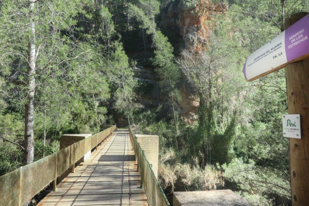 pont en bois randonnée