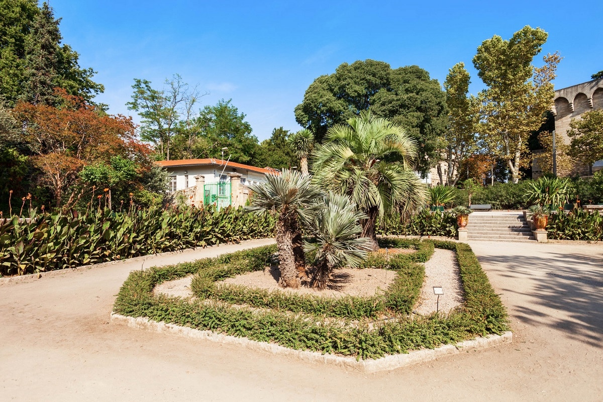 jardin des plantes montpellier