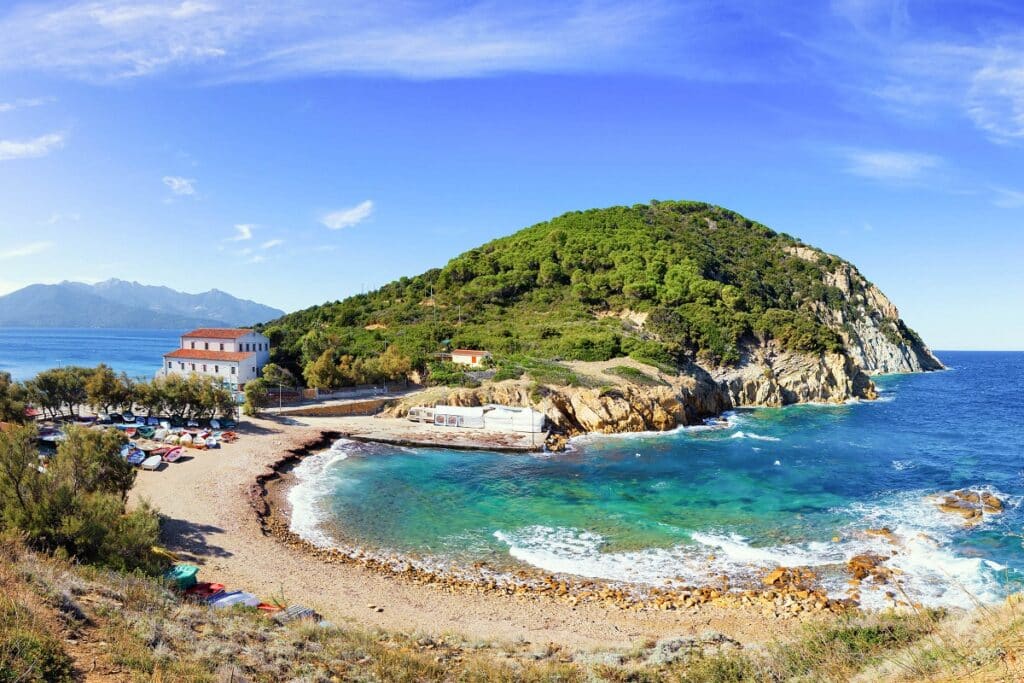 Enfola elbe