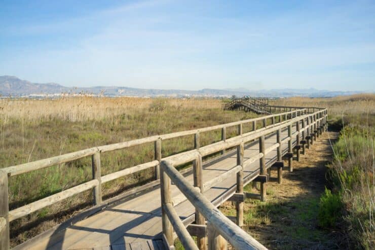 Parque Natural El Hondo