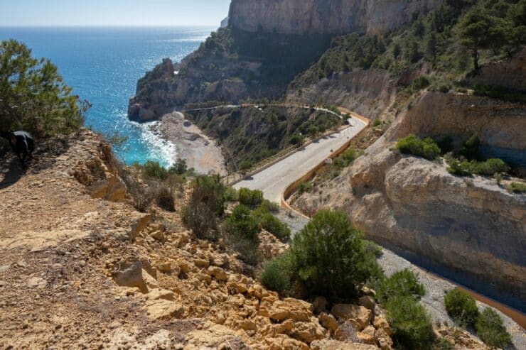 point de vue dels testos