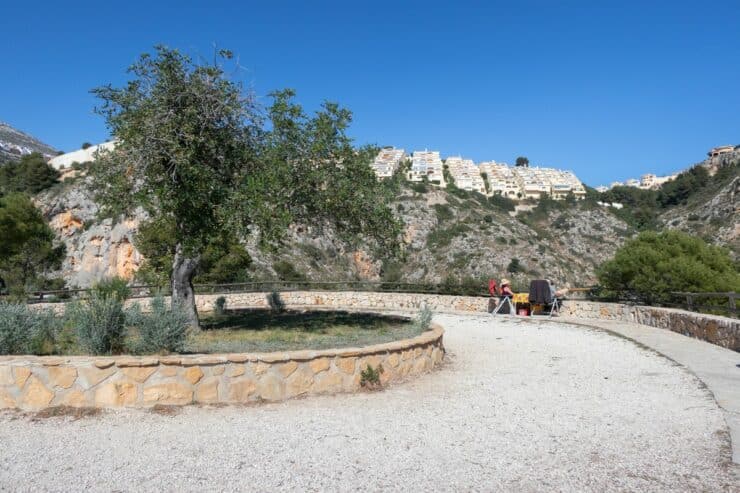 point de vue dels testos