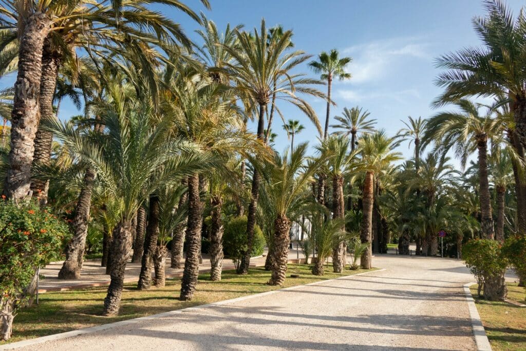 parc municipal elche