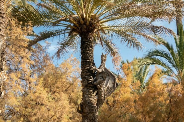 palmier avec sculpture dragon