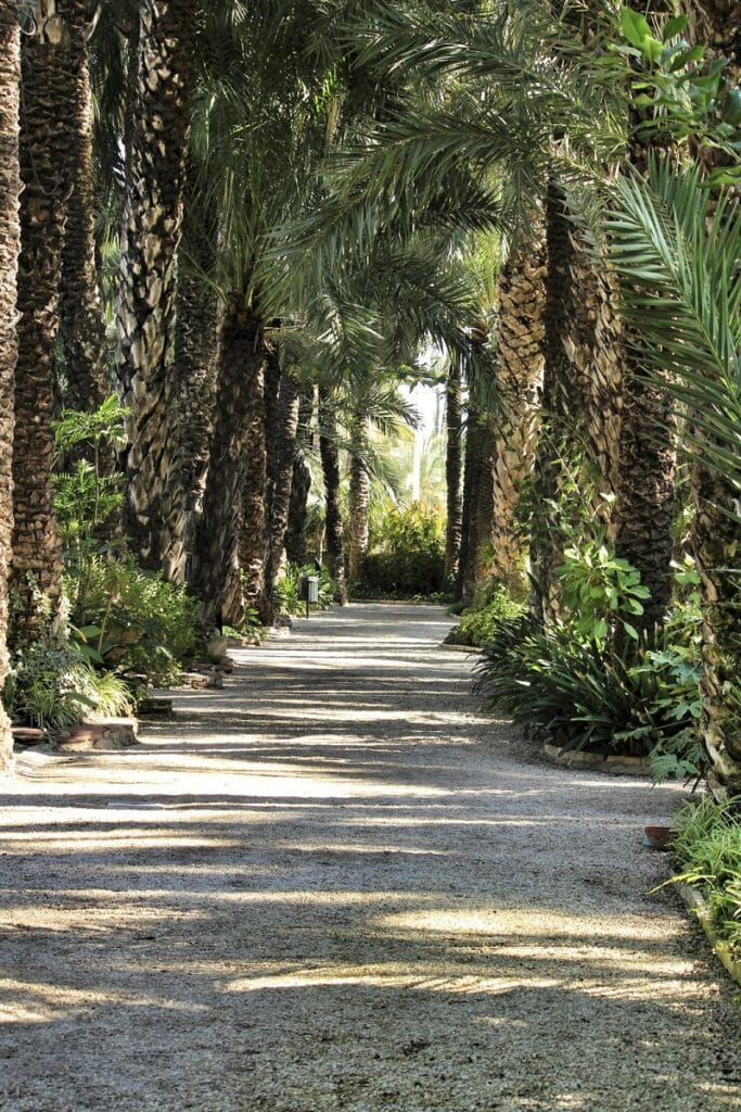 sentier huerto del cura