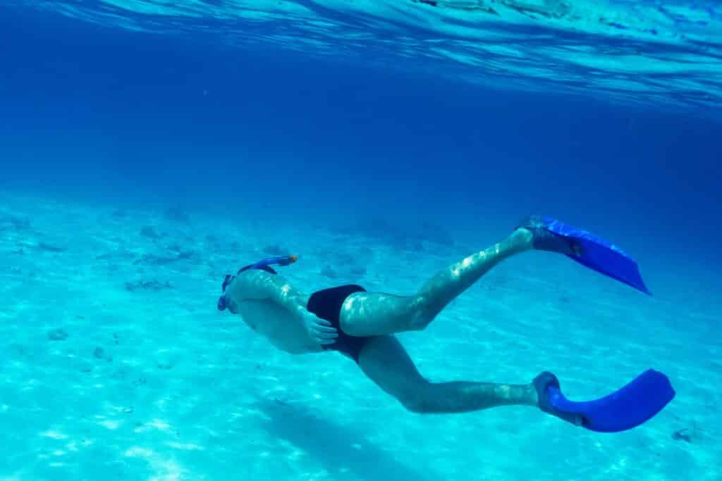 snorkeling palmes