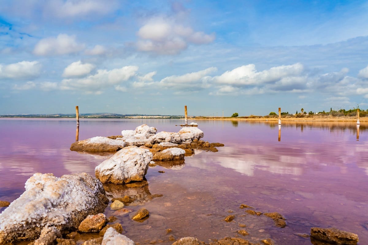 lagune rose torrevieja