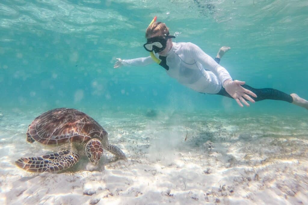 snorkeling tortue