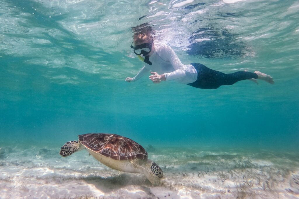 snorkeling