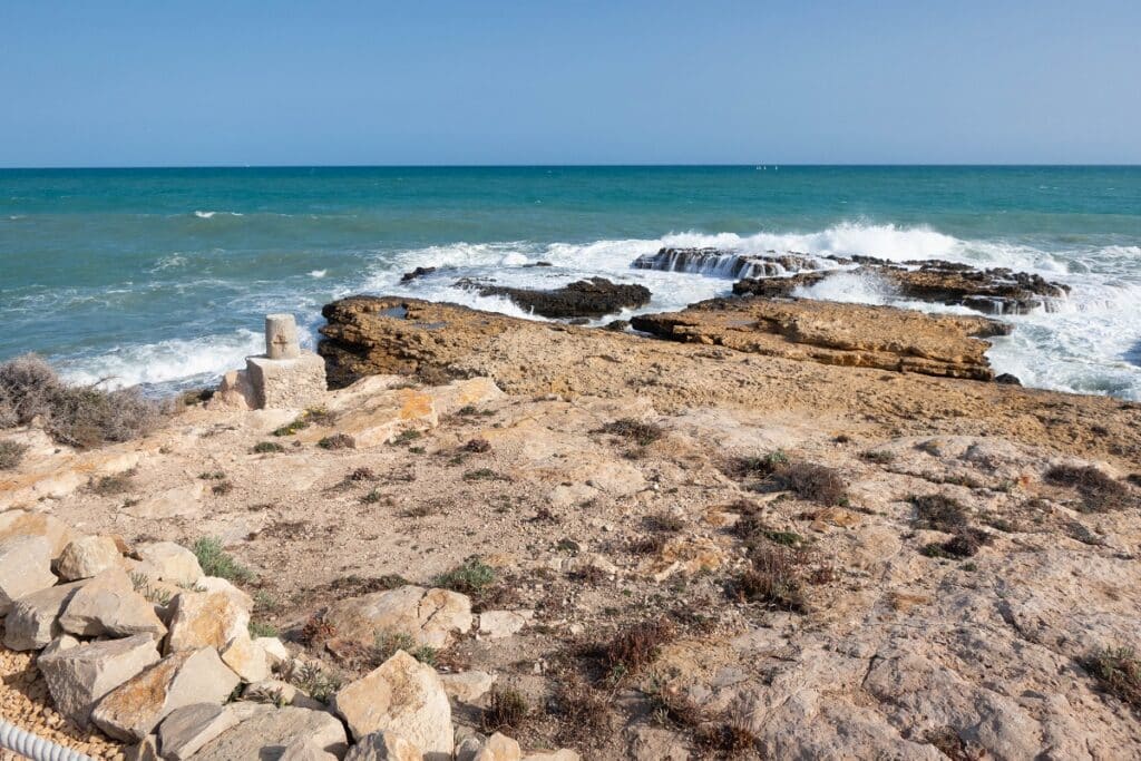 ferme poisson el campello