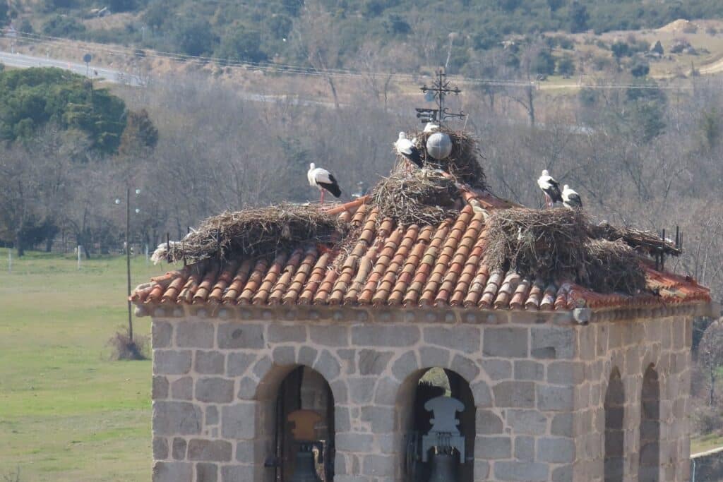 clocher de manzanares el real