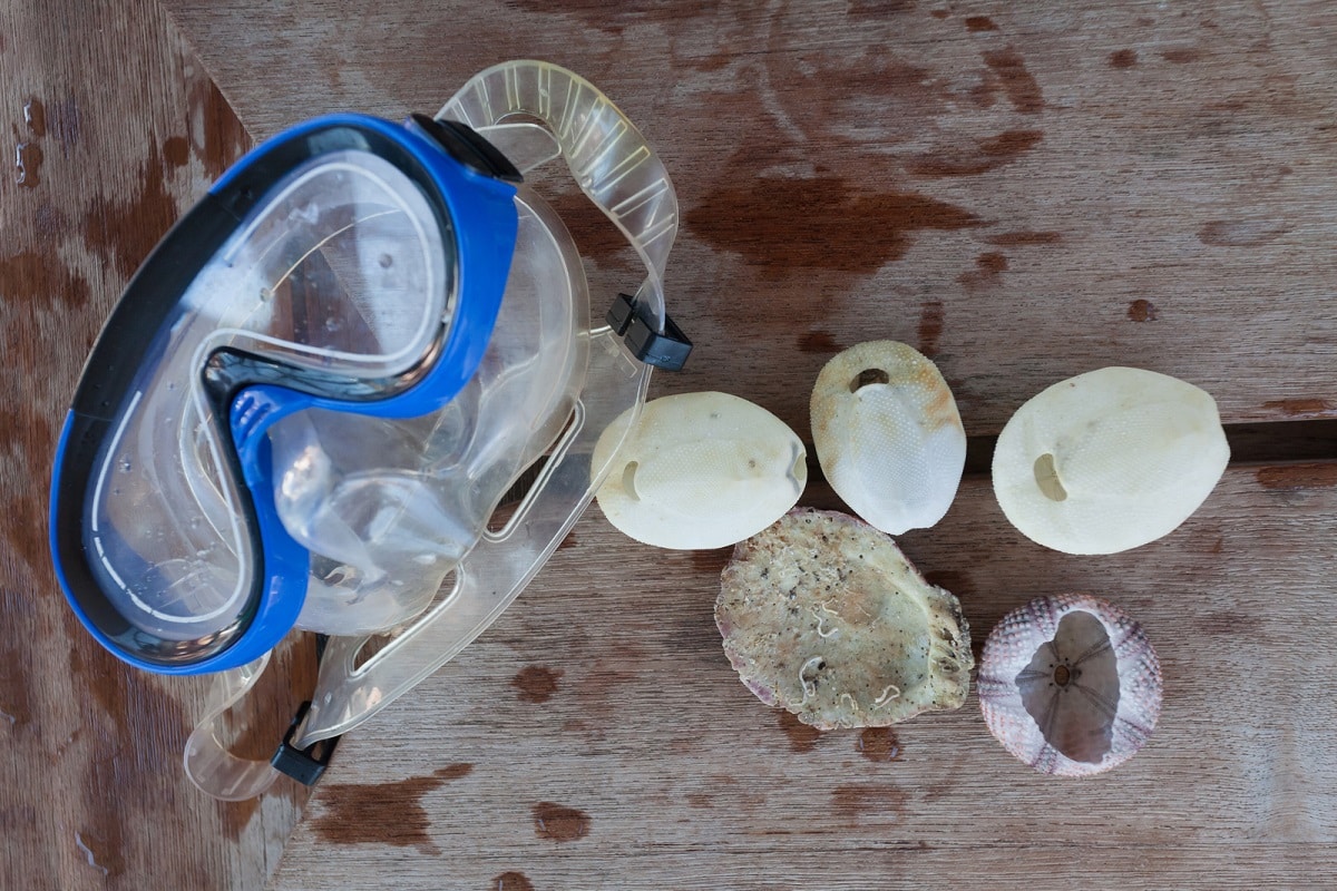 masque de snorkeling