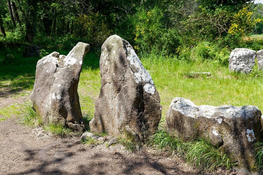 visiter carnac