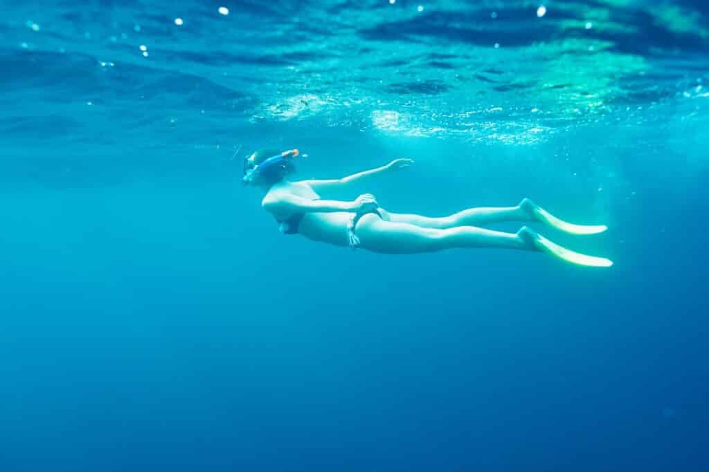 snorkeling équipement