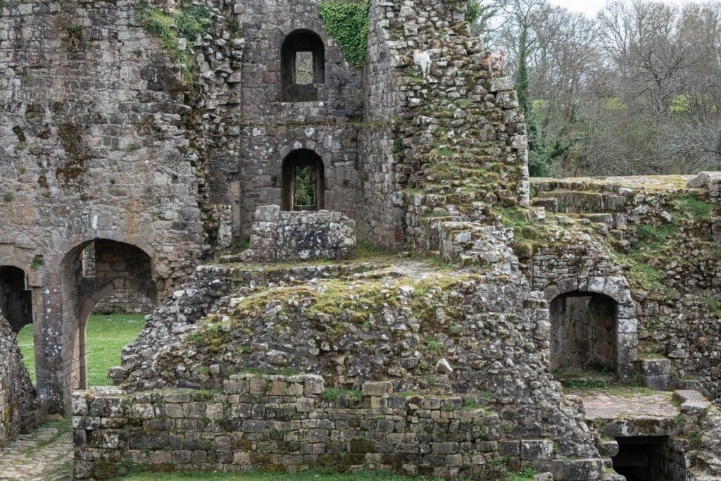 Château Tonquédec ruine