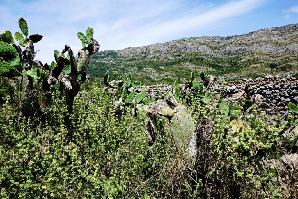 vallée de jalon