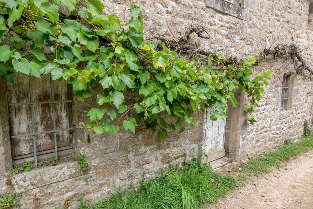 maison en pierre