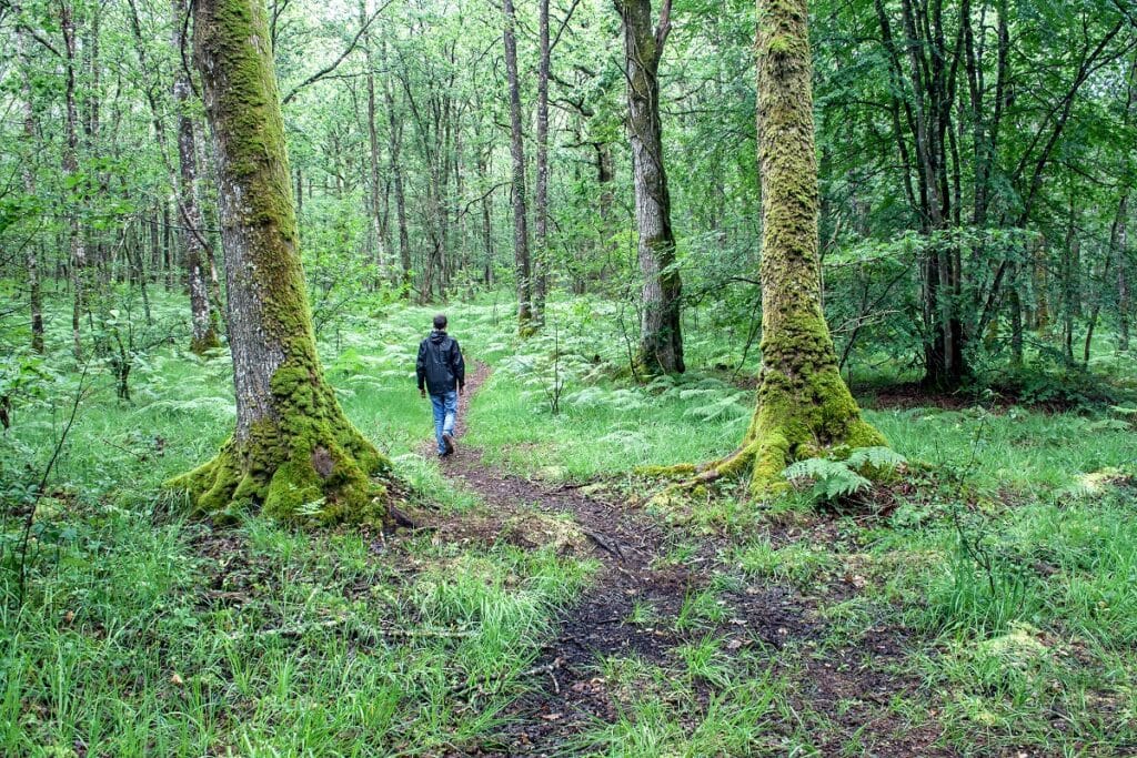 randonnée forêt de Paimpont