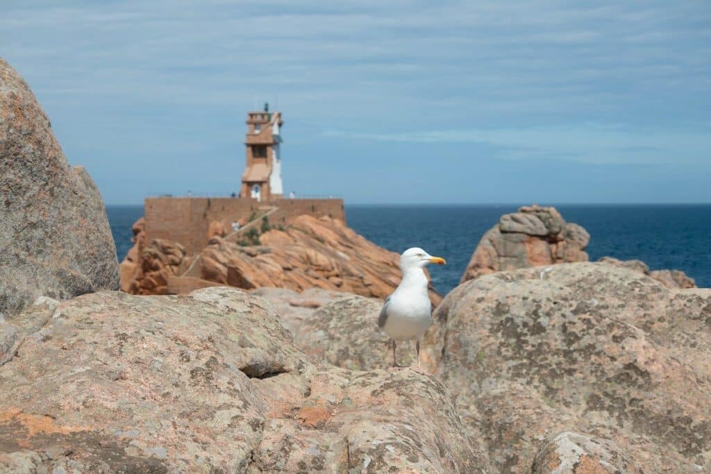 phare du paon