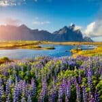 paysage d'Islande en été