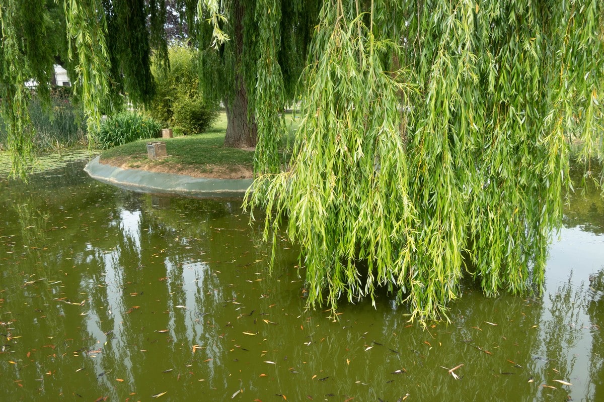 jardin public lievin