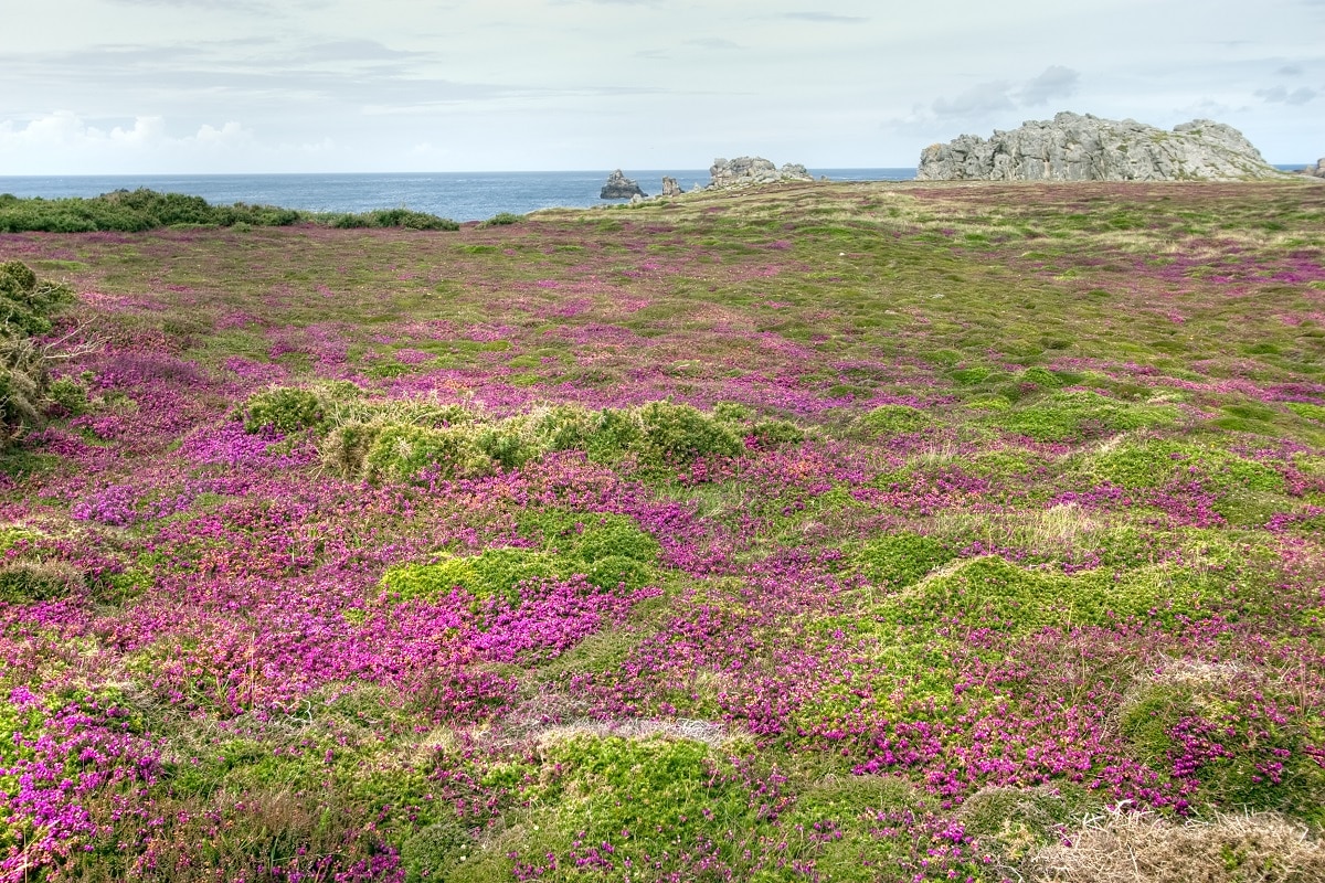 visiter l'île d'ouessant