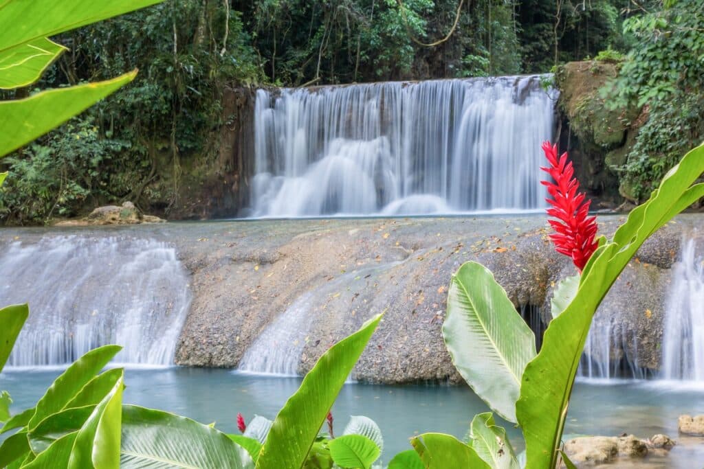 ys falls en jamaïque