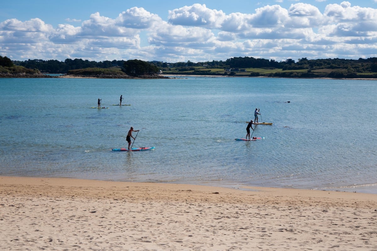 paddle