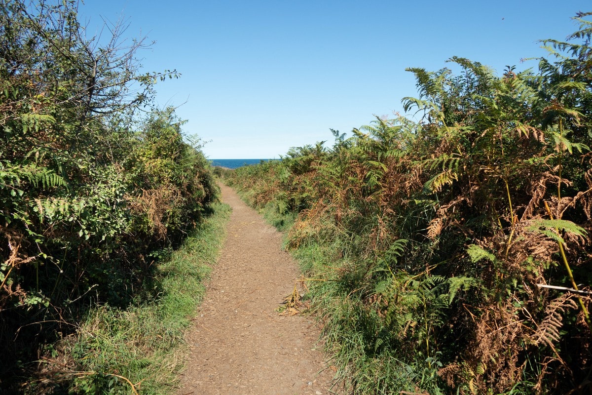 sentier de randonnée