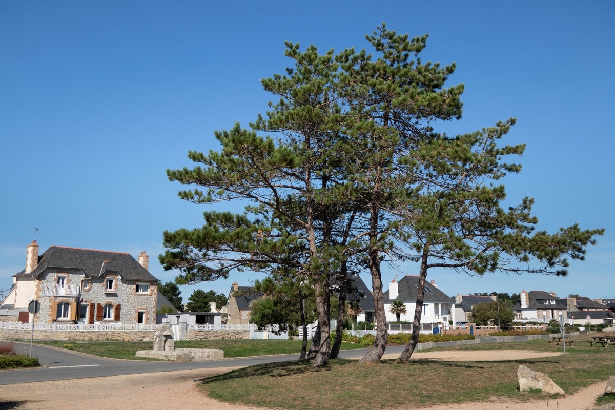 ile grande