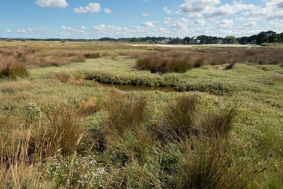 ile grande marais