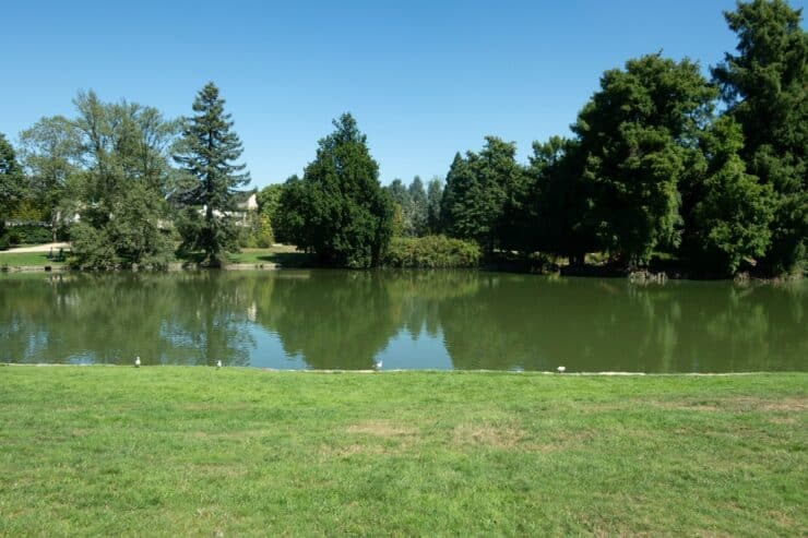 jardin du parc à vitré
