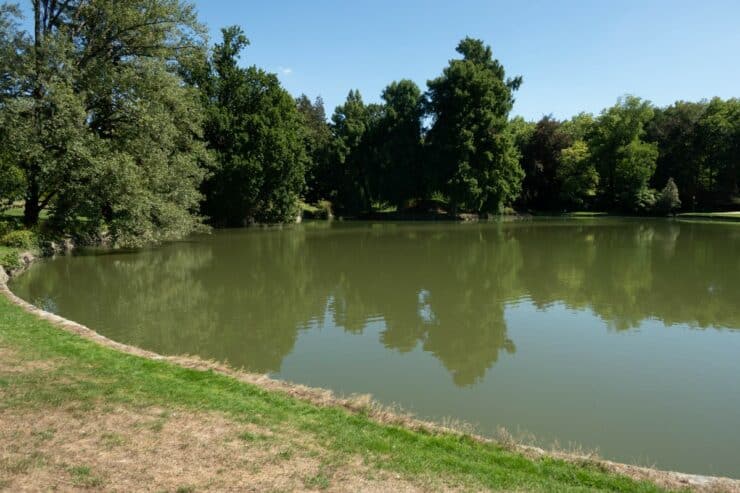 jardin du parc étang