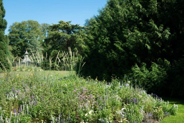 jardin du parc