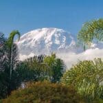 les incontournables de Tanzanie