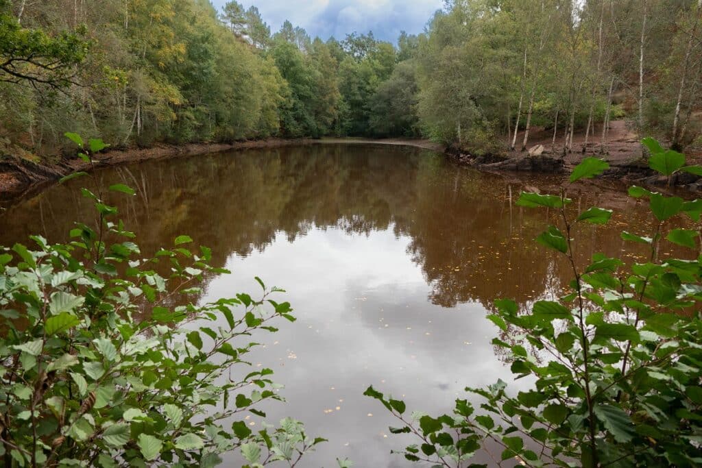 miroir aux fées