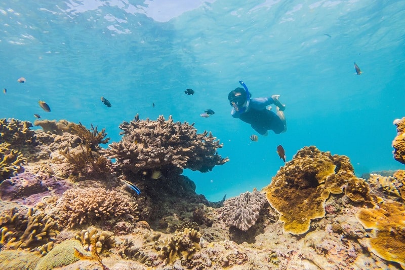 snorkeling