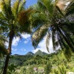 5 activités à faire en Martinique