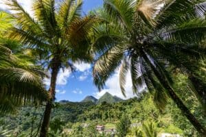 5 activités à faire en Martinique