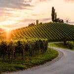 Route des vins de Styrie