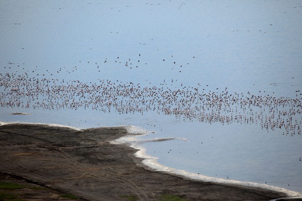 lac nakuru