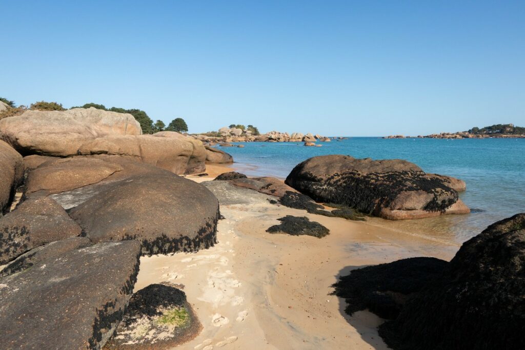 plage et rochers ile renote