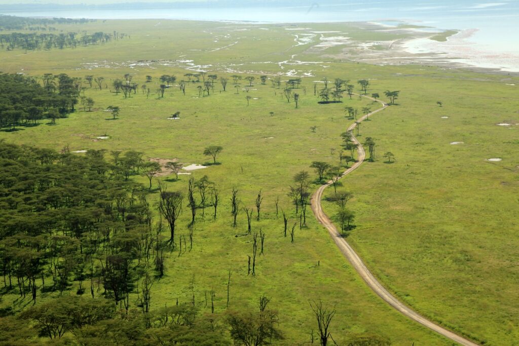 parc national du lac nakuru