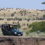safari au Kenya