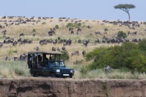 safari au Kenya