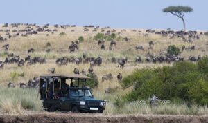 meilleures destinations de safari au Kenya