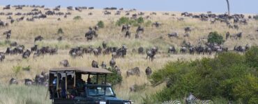 meilleures destinations de safari au Kenya