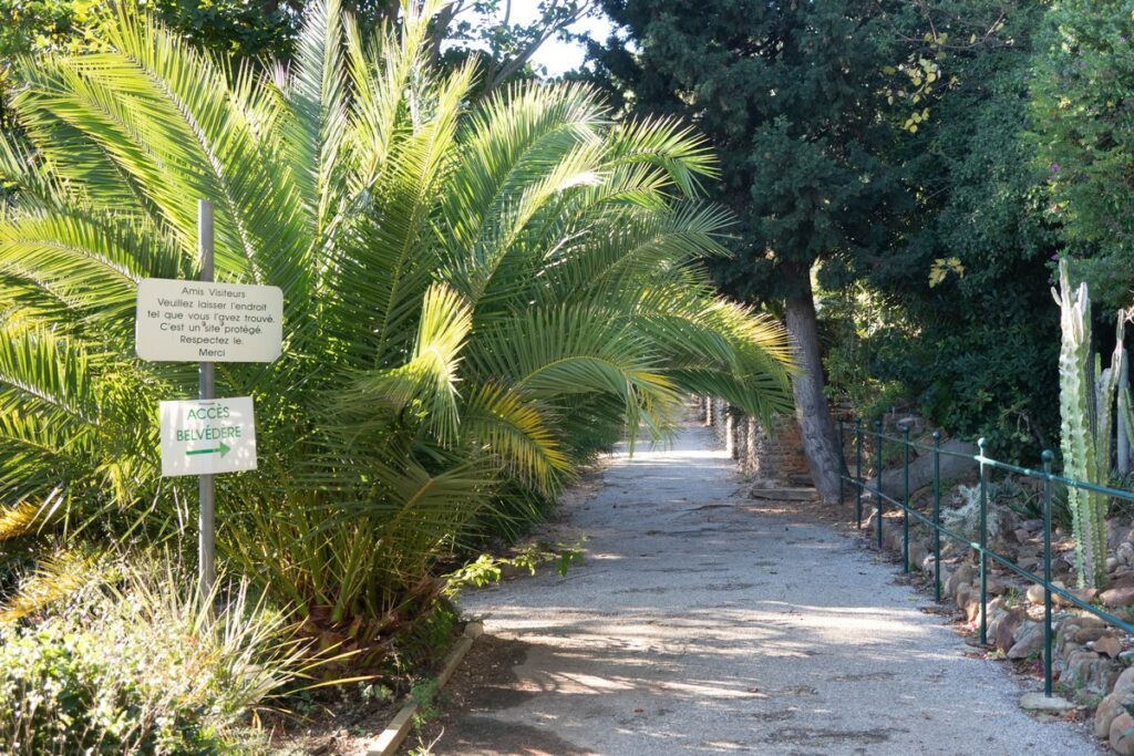 sentier vers le belvédère