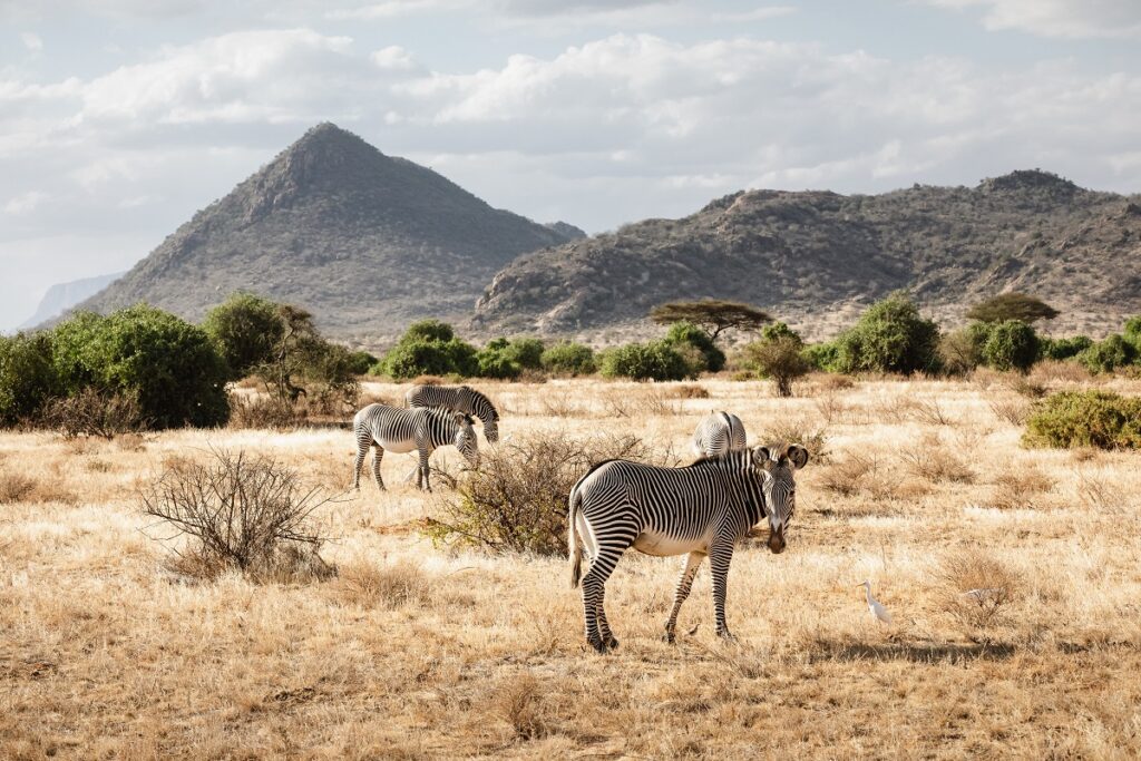 Réserve nationale de Samburu