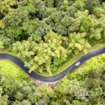 roadtrip en Martinique